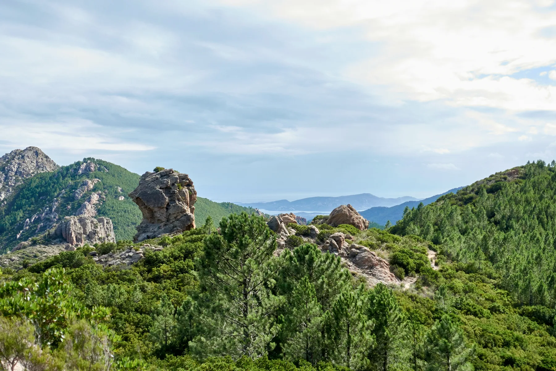 Rochers granitiques et pins de la forêt de l'Ospedale, avec le golfe de Porto-Vecchio en arrière-plan