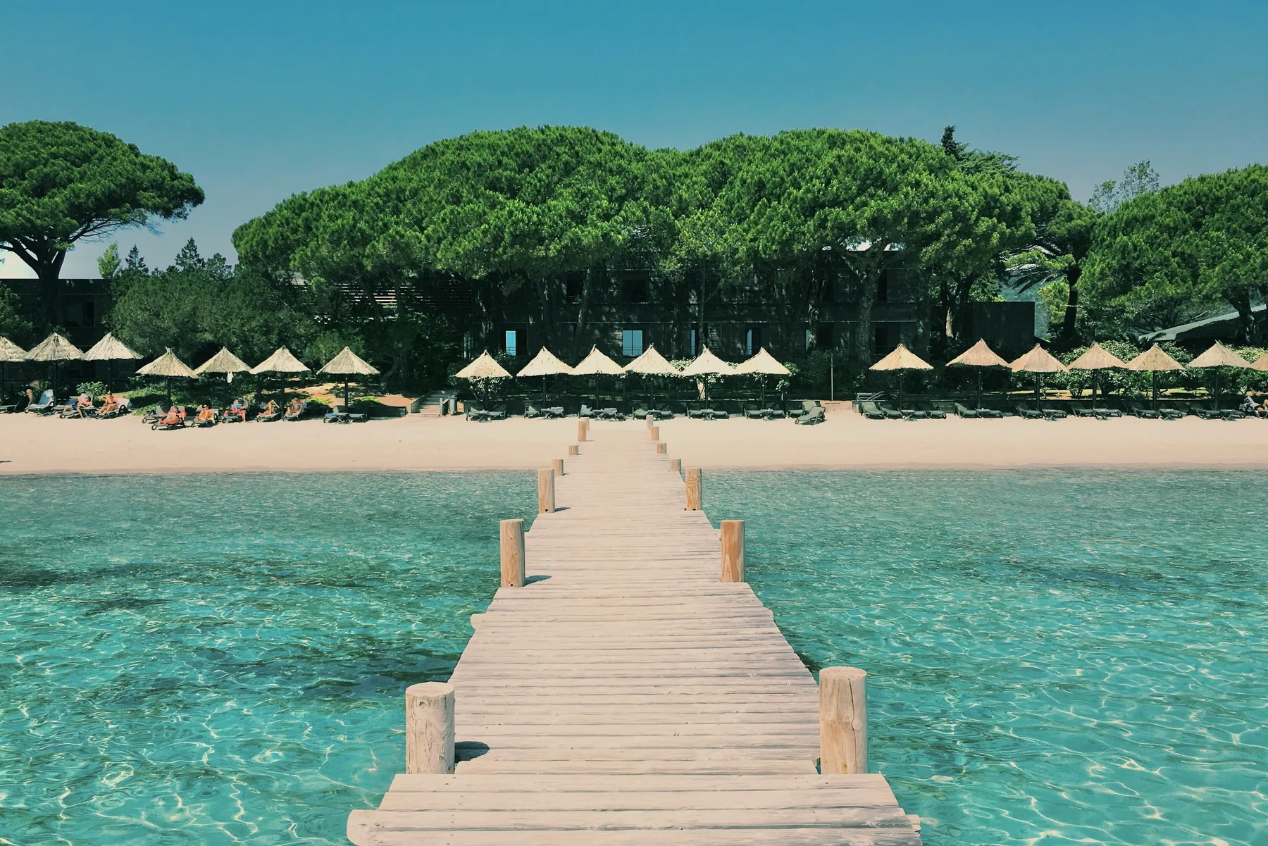 Ponton en bois sur une eau turquoise et plage de sable blanc bordée de pins parasols près de Porto-Vecchio